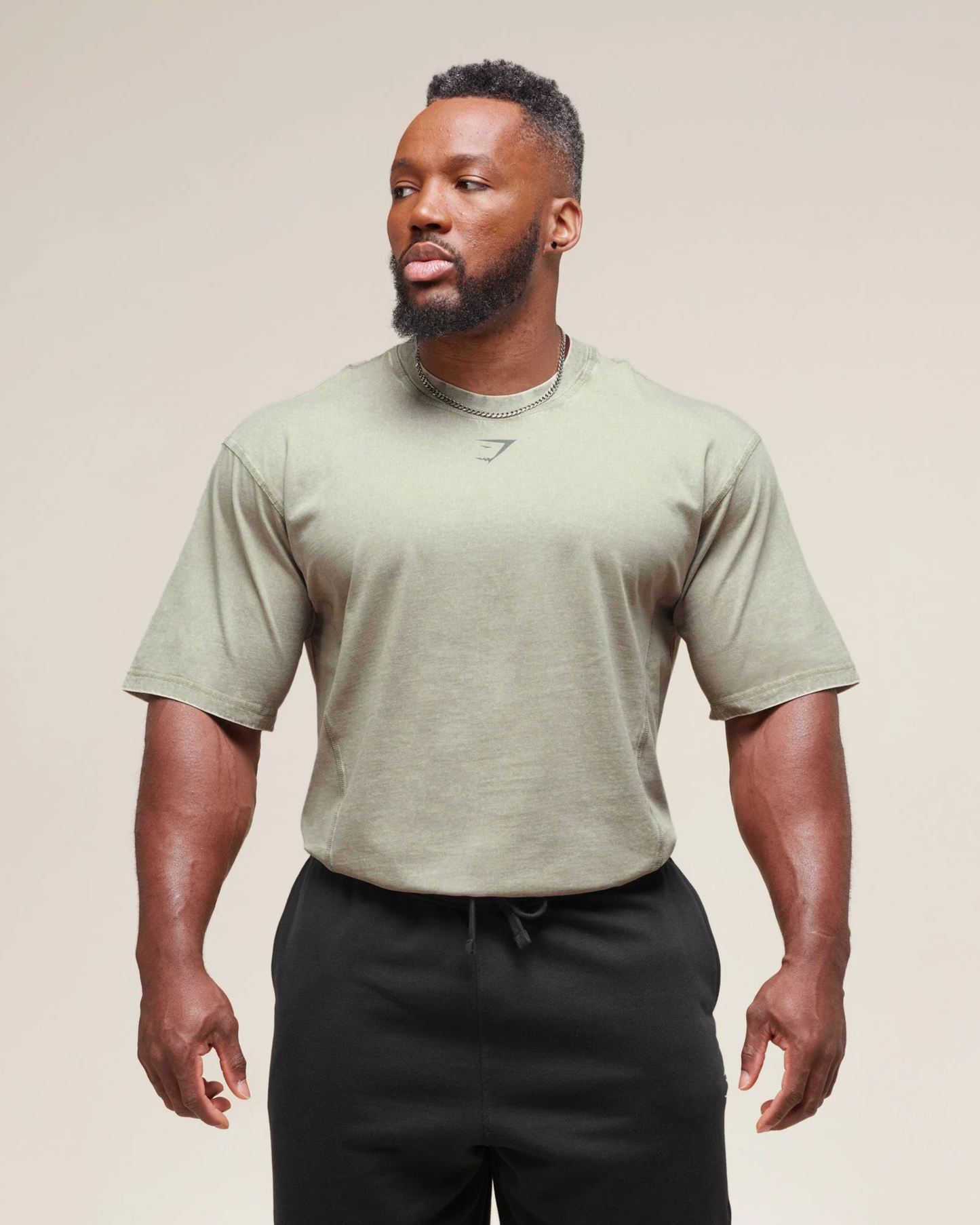Gymshark Heritage Washed T-Shirt - "Stone Grey"
