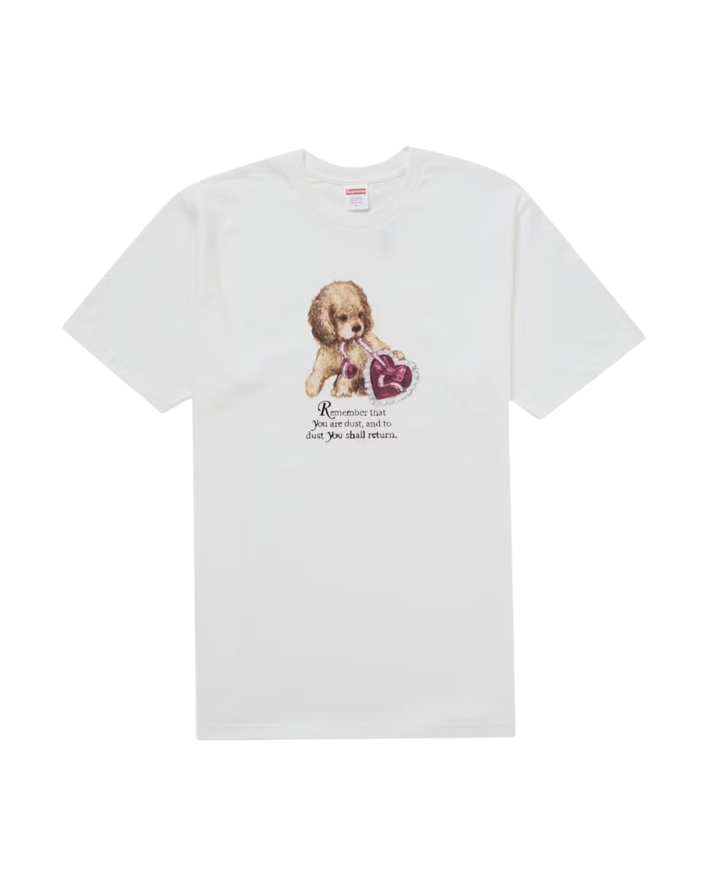 Supreme Dust Tee - "White"